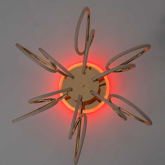 Потолочная светодиодная люстра Citilux Salma Smart CL224A162