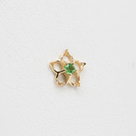 Pinto tops with Precious gem