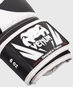 Детские боксерские перчатки Venum Challenger 2.0 Black/White