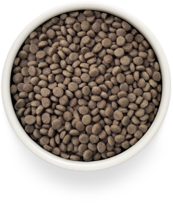 Grandorf RENAL, Gluten & Grain Free, Veterinary Diet (Turkey)