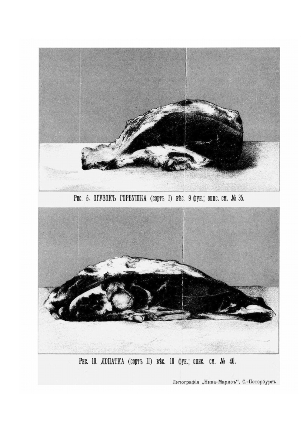 Скоромный и постный стол. Самая полная хозяйственная книга для приготовления 2800 блюд | Павловская О.