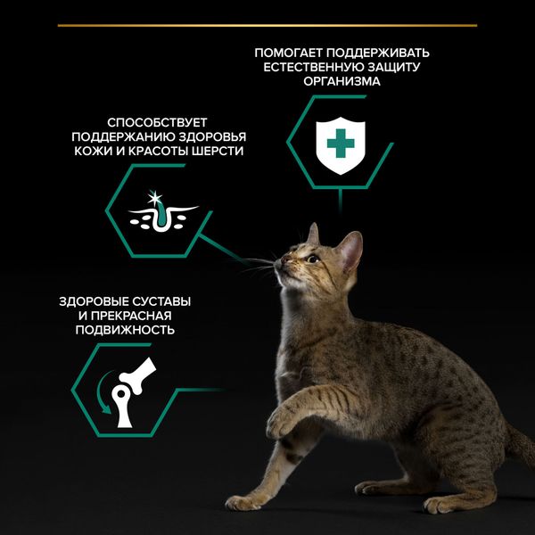 Пауч Pro Plan Maintenance для взрослых кошек, с курицей в соусе