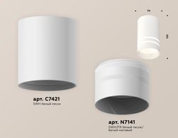 Ambrella Комплект накладного светильника Techno XS7421022