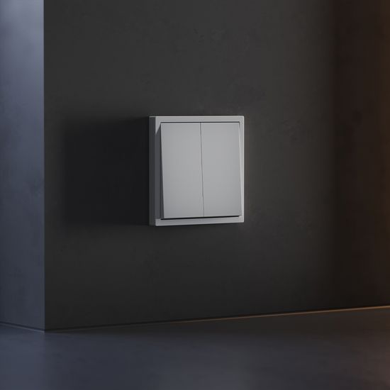 Клавиши для выключателя/переключателя двухклавишного, S70 (серый)