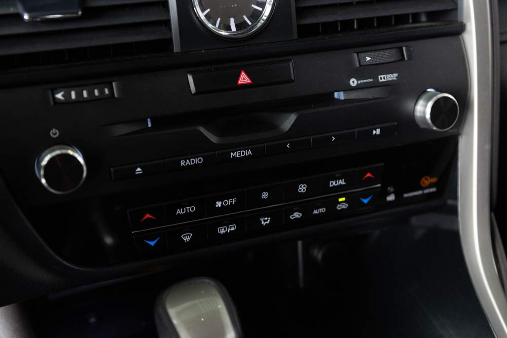 Lexus RX300, 2018 год