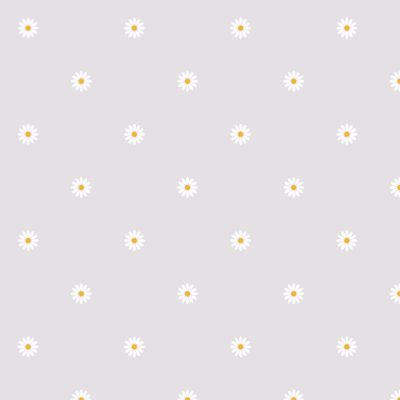 Маленькие белые ромашки на светлом сером фоне.