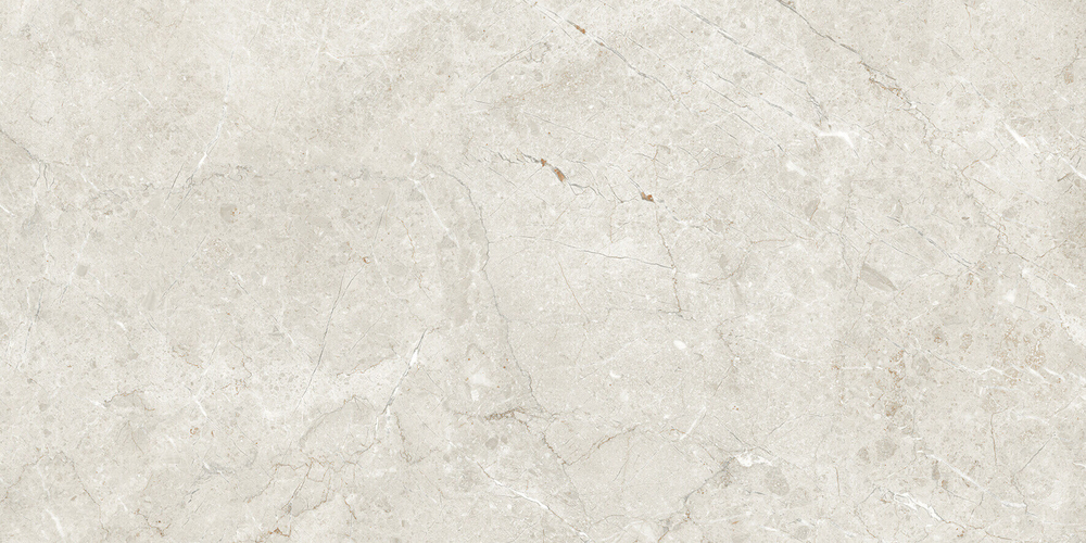 ARTCER Marble Palermo Silver Matt 60x120