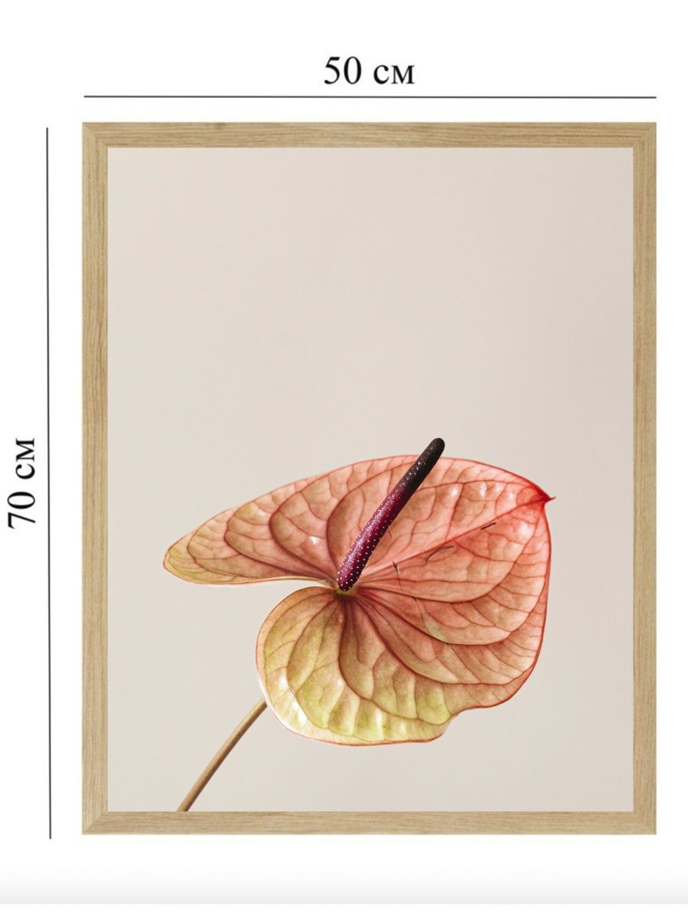 Набор постеров 50х70 цветы Love 3 шт арт 156983664 ТТН 246259113