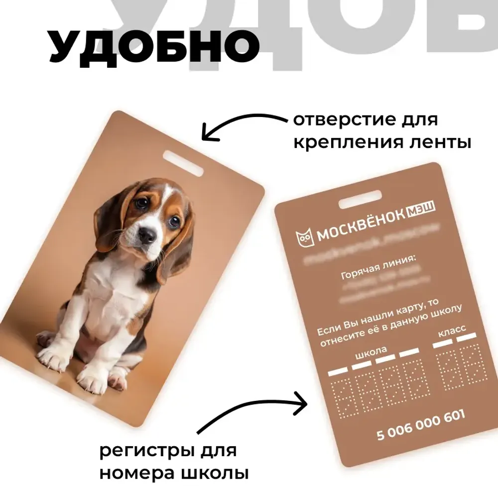 Карта Москвёнок DOGS №1 (проход + питание)