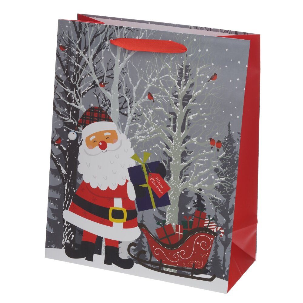 GAEM Пакет подарочный M (бумага 210г/м2, блок 12шт), L26 W12 H32 см, 4в.