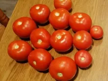 БАРИБИНЕ F1 семена томата (Syngenta | Alexagro)