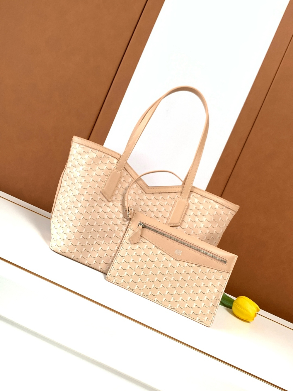 Moynat M Tote PM
