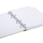 Тетрадь на кольцах А5 (175х215 мм), 240 л., обложка твердый картон, клетка, BRAUBERG, "Miracle", 404093