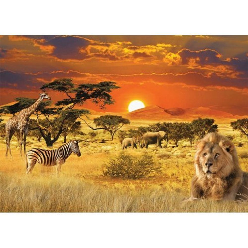 Саванна 272x194 см, премиум