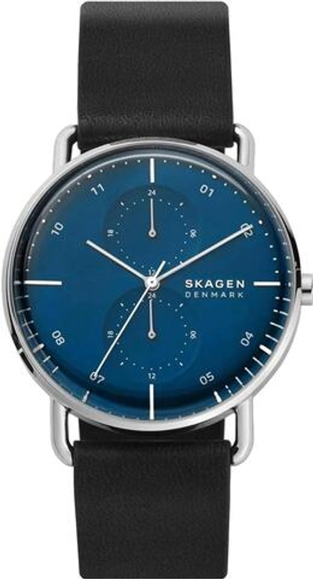 Мужские наручные часы Skagen SKW6702