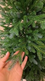 Ель искусственная «Айрин» (Литая хвоя) 180 см / 1,8 м