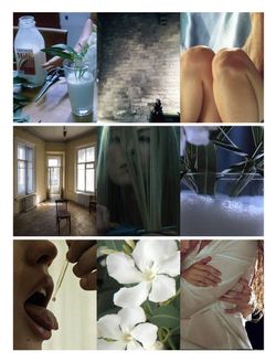 Книга вслепую №15