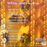 Britney Spears / Oops!...I Did It Again (Picture Disc)(LP)