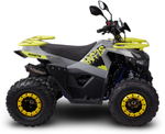 Квадроцикл Avantis Ray 8 Lux