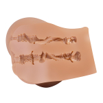 Вибромастурбатор 20,2х17,6х15см (вагина и анус) Baile Crazy Bull Emilia Realistic BM-009245Z-1