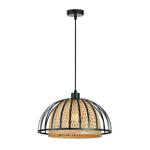 Подвесной светильник Arte Lamp WOODSTOCK A7071SP-1BK