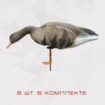 Белолобый гусь S-XPE мод. B6112X