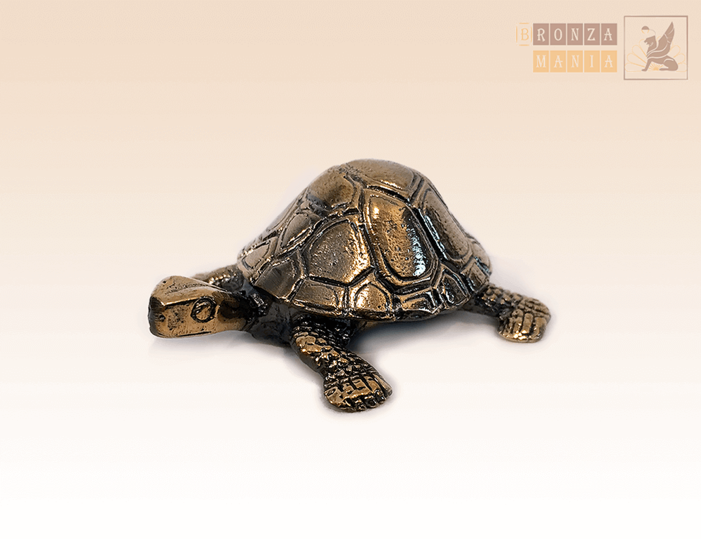 фигурка Шкатулка Черепаха малая