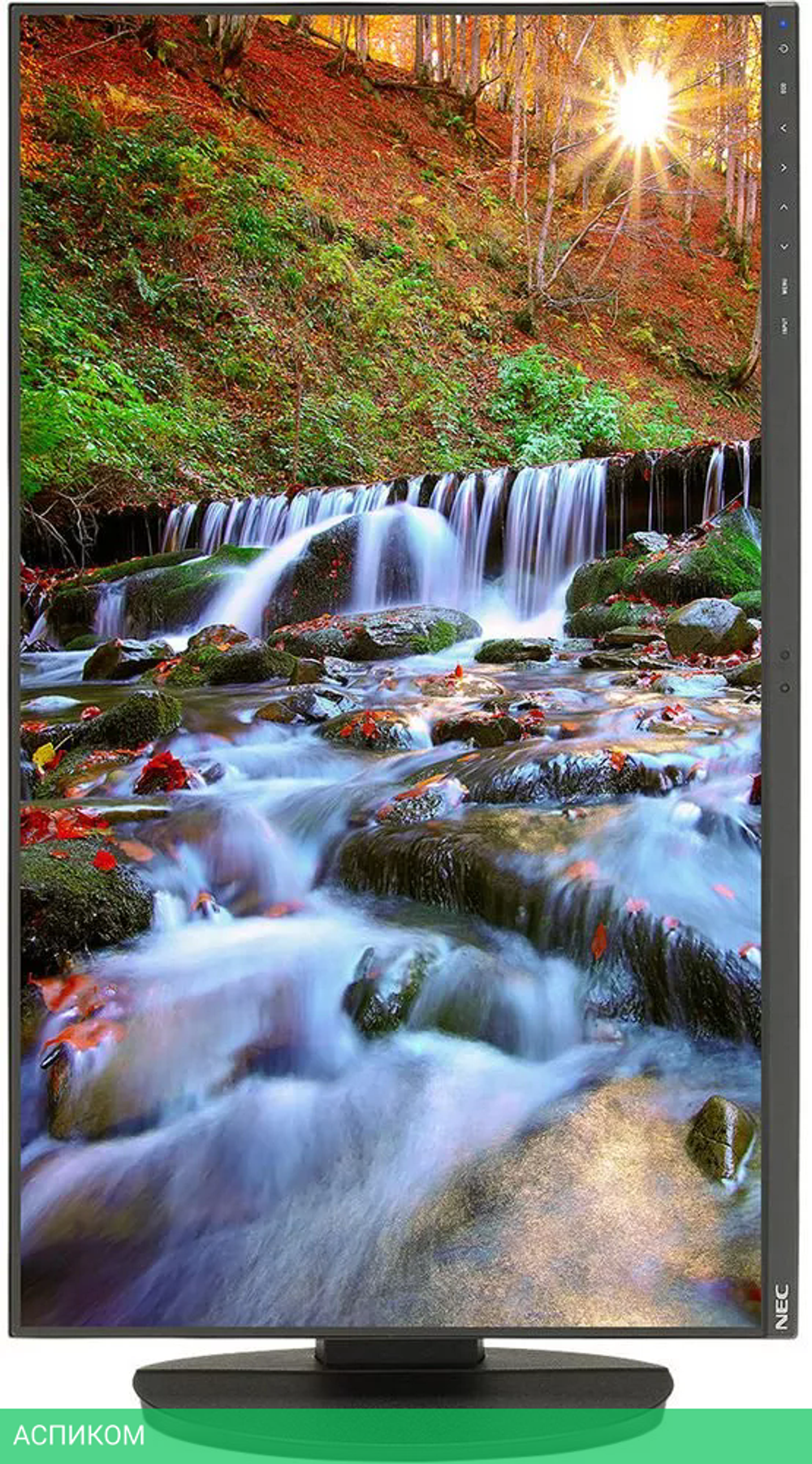 Монитор NEC MultiSync EA271F-BK