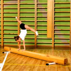 Бревно гимнастическое напольное