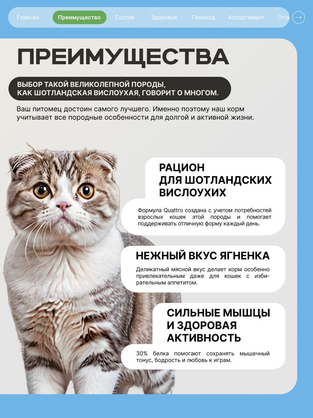 Корм сухой для кошек породы Шотландская вислоухая, с ягненком, 5 кг, QUATTRO