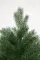 Искусственная елка Приозерская 270 см., 100% литая хвоя, ЕлкиТорг (260270)