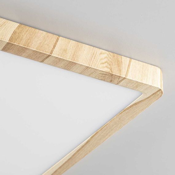 Светильник накладной Citilux Бейсик CL738K242V