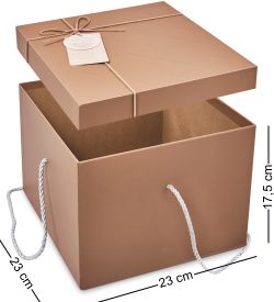 WF-196/3-B Коробка бол., коричневый
