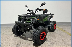 Электроквадроцикл Ikingi 225