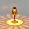 Настольная лампа ST Luce Sparkle SL1010.724.01