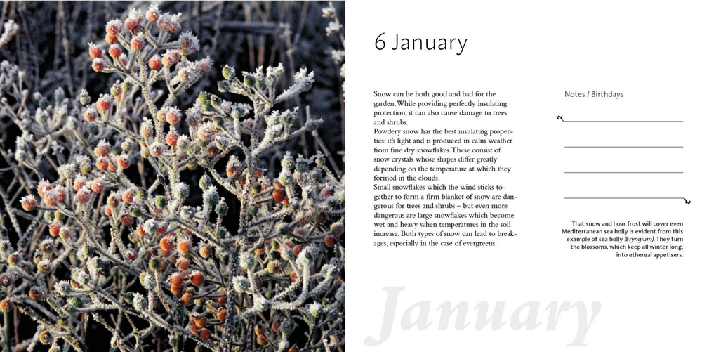 A Year in the Garden. 365 Inspirational Gardens and Garden Tips