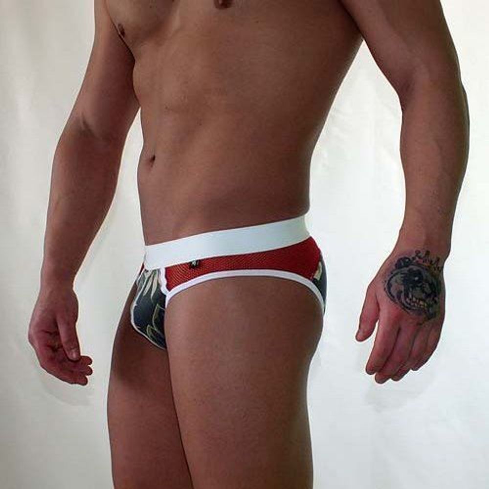 Трусы мужские брифы темно-серые с красной вставкой Van Baam VB-38141