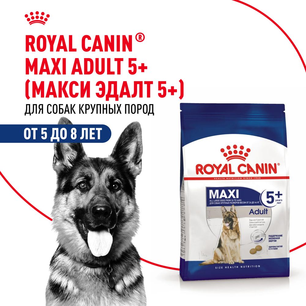 Сухой корм Royal Canin Maxi Adult 5+ для взрослых собак крупных размеров от 5 лет до 8 лет Сухой корм Royal Canin Maxi Adult 5+ для взрослых собак крупных размеров от 5 лет до 8 лет