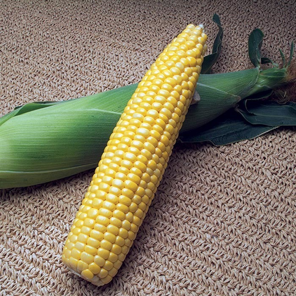 Кукуруза Акцентуэта F1 (50шт)  Витагрин Профи