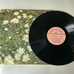 Винтажная виниловая пластинка LP Людмила Зыкина, Поет Людмила Зыкина (СССР 1979)