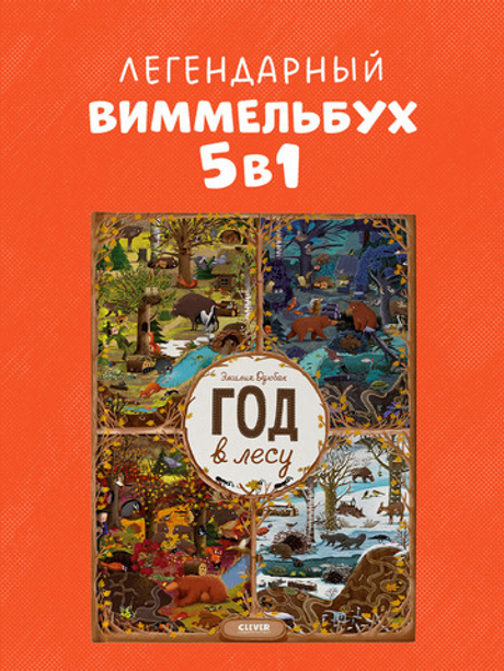 Год в лесу. Найди и покажи