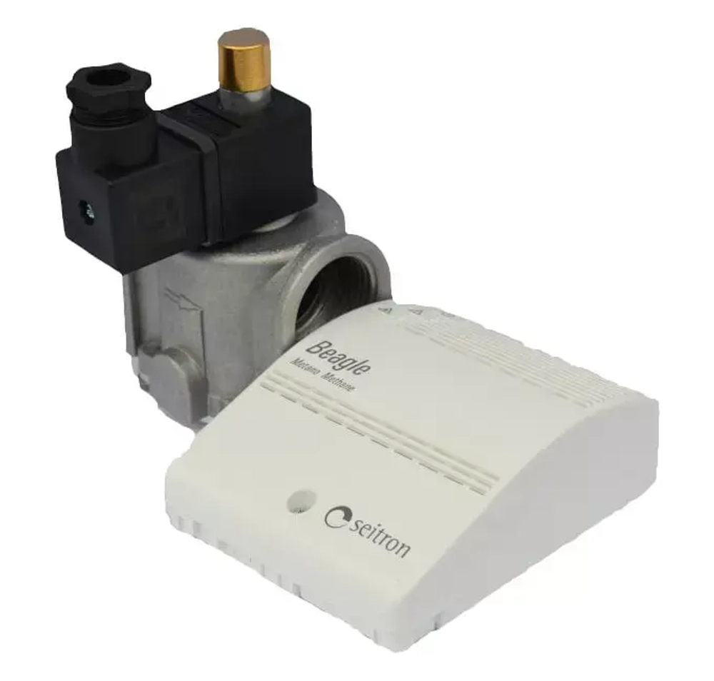 RGDGP5MP1 NA15/ NA20/ NA25 Seitron (Сейтрон) сигнализатор загазованности с клапаном