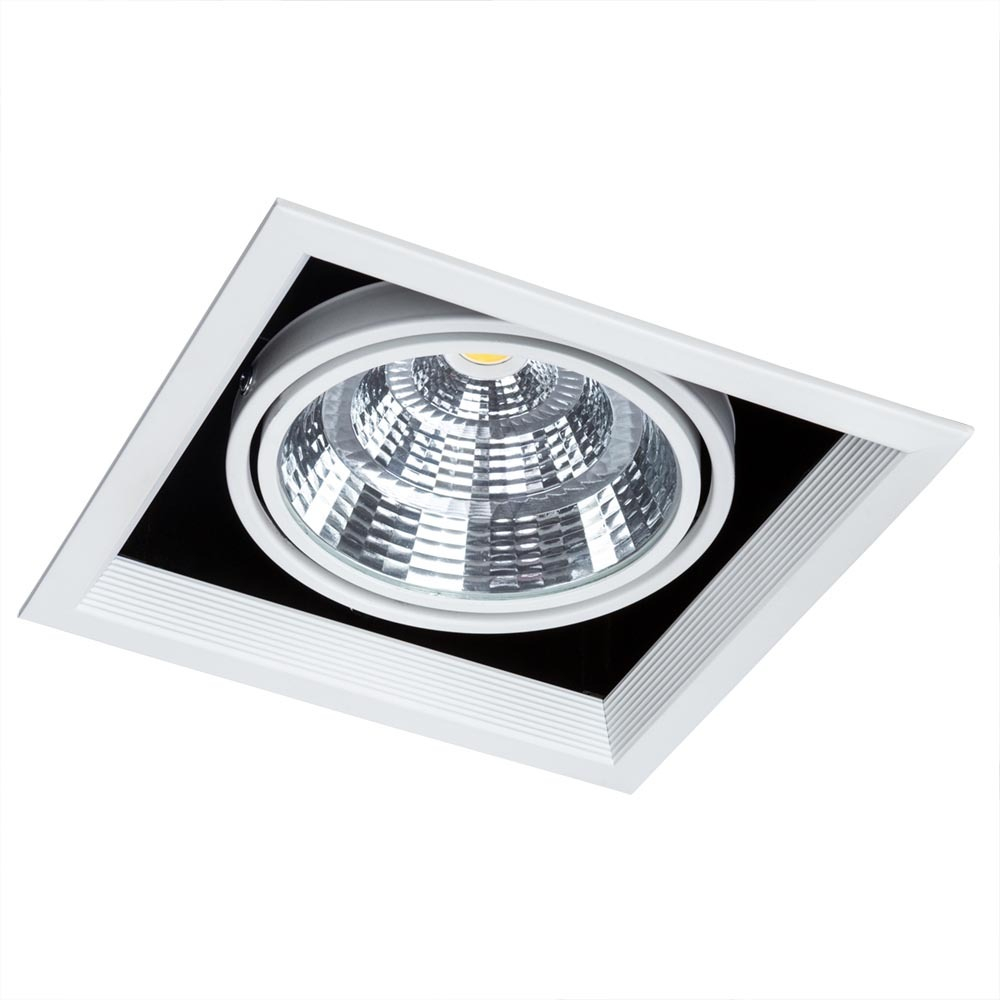 Встраиваемый светильник Arte Lamp A8450PL-1WH