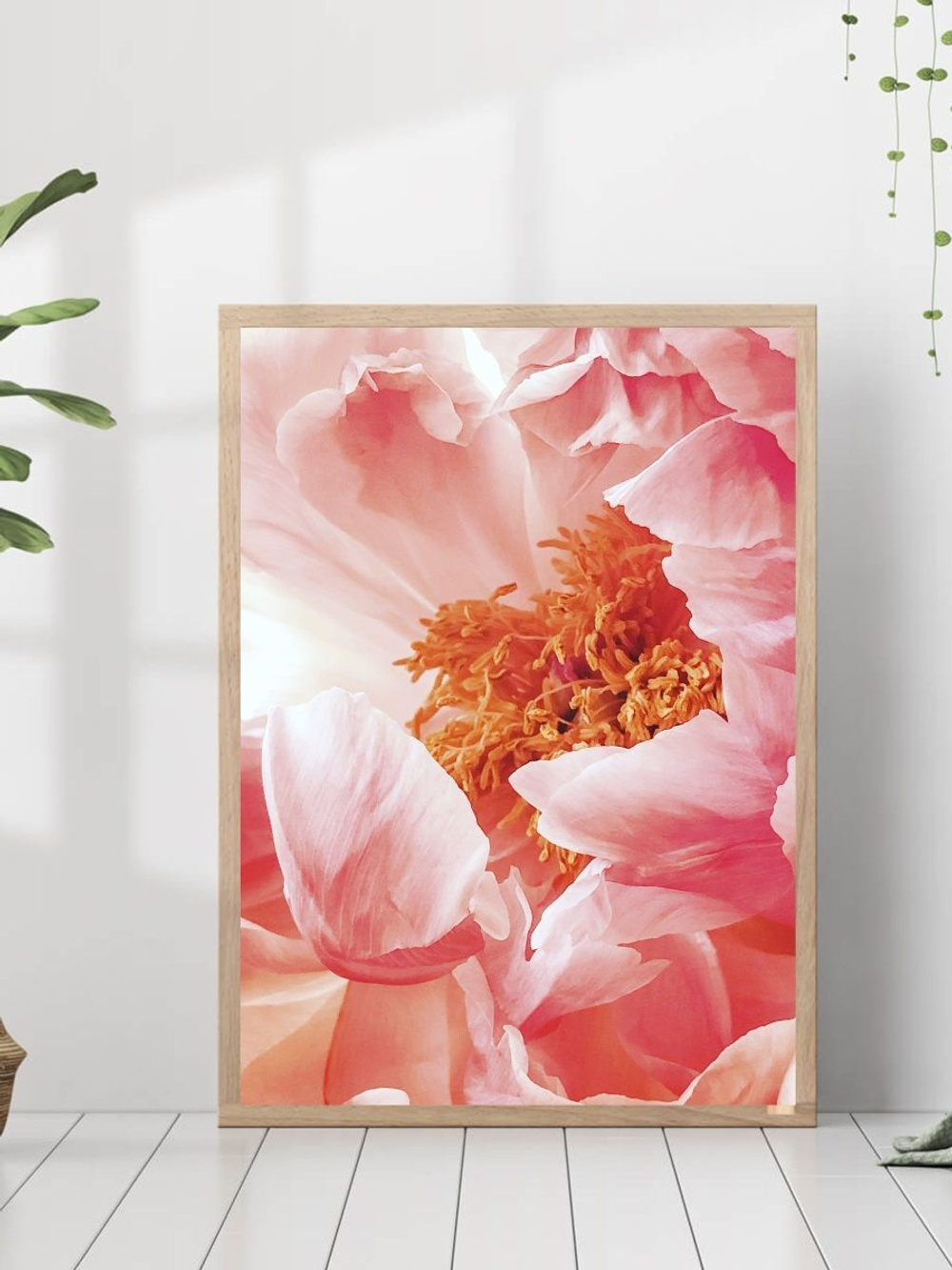 Набор постеров 30х40 цветы кофе 164419731 ТТН 246259068