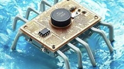 Крошечные роботы-водомерки умеют питаться бактериями