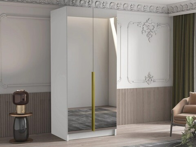 Двухсекционный шкаф Элли с 2 зеркалами (ручки матовое золото) Белый снег 8685 BS  100*45*240