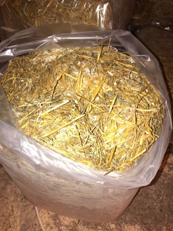Солома в тюках в будку собакам