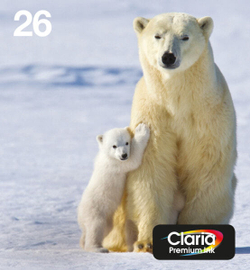 Катридж струйный Подлинный Черный Голубой Пурпурный Желтый Epson Polar bear C13T26164511 1 шт