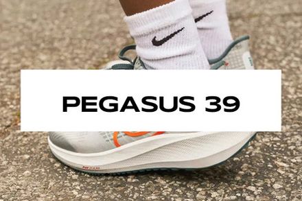 Nike Pegasus 39