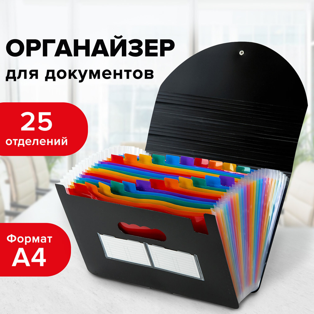 Папка-органайзер для бумаг и документов на резинке 25 отделений BRAUBERG DOCS А4 черная (2 штуки в упаковке)